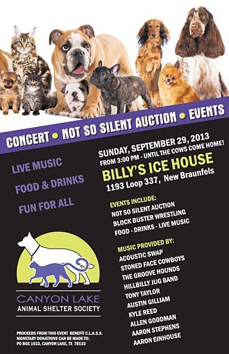 Silent Auction Event Poster