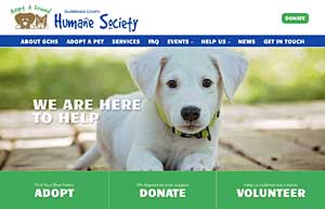 Animal Shelter Web Site Design